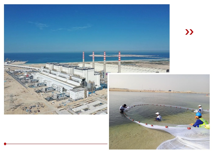 尊时凯龙·Z6(中国区)人生就是拼搏!