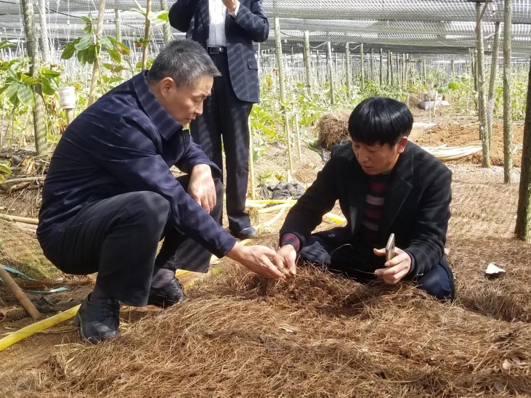 尊时凯龙·Z6(中国区)人生就是拼搏!