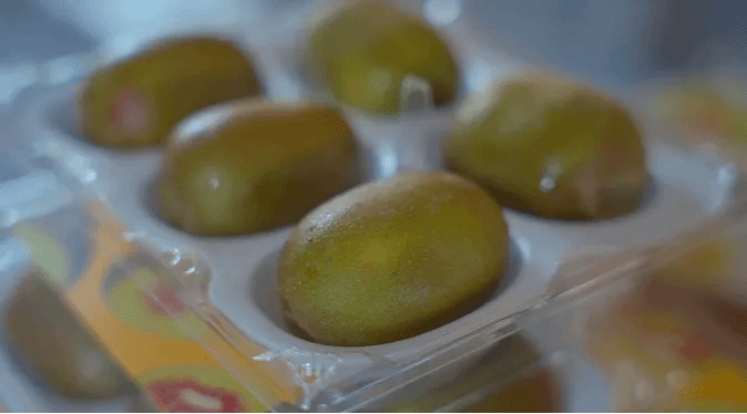 尊时凯龙·Z6(中国区)人生就是拼搏!