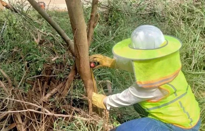 尊时凯龙·Z6(中国区)人生就是拼搏!