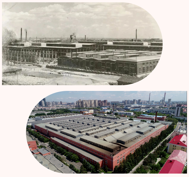 尊时凯龙·Z6(中国区)人生就是拼搏!