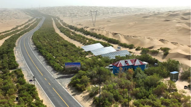 尊时凯龙·Z6(中国区)人生就是拼搏!