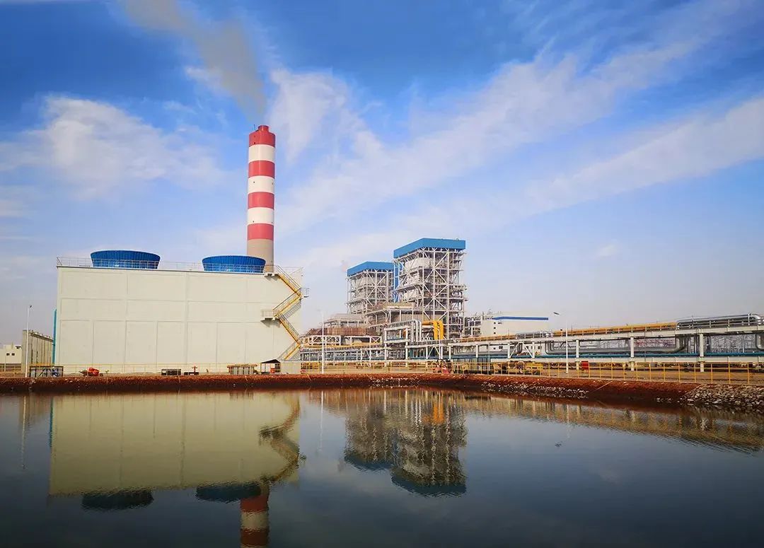 尊时凯龙·Z6(中国区)人生就是拼搏!